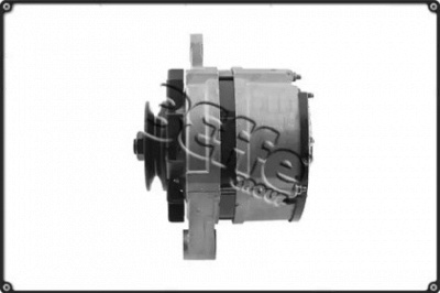 3EFFE GROUP altf446 -